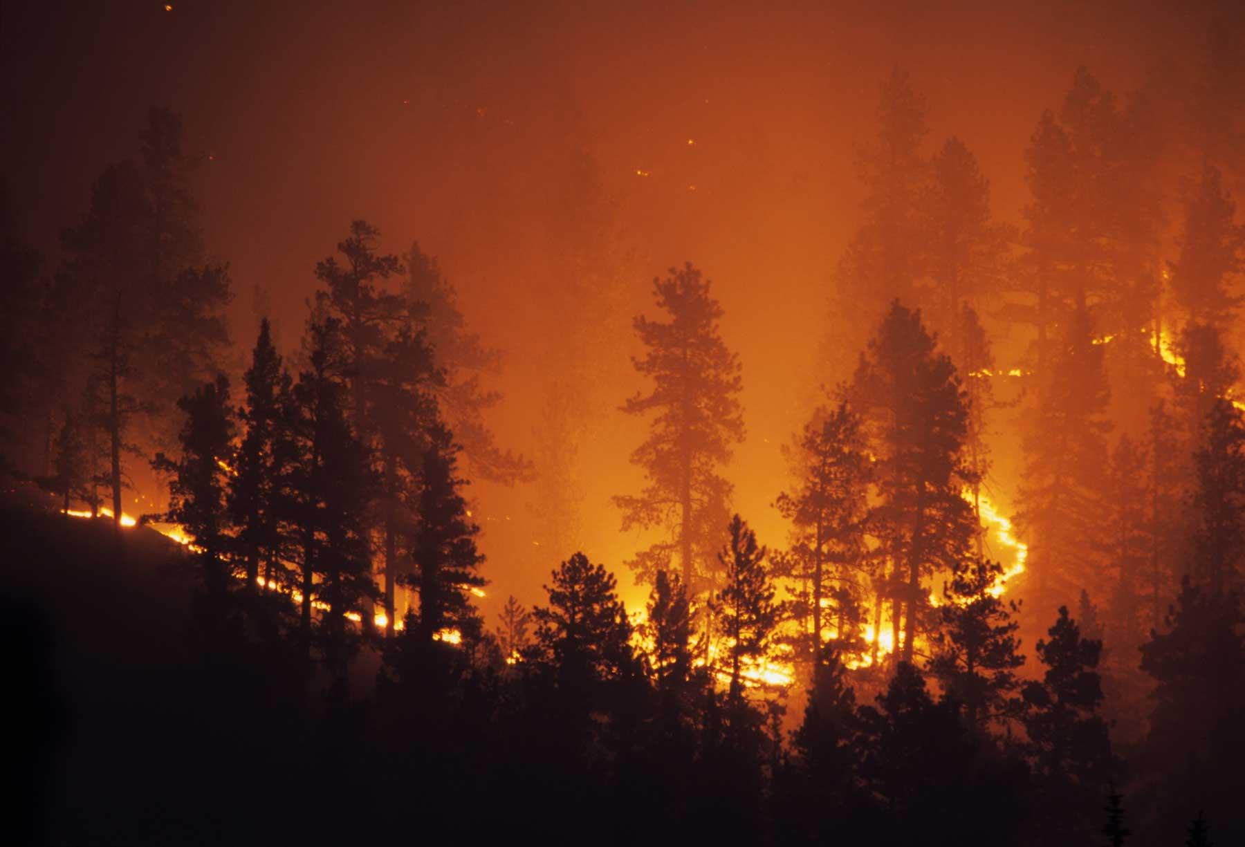 Cost-Effective Wildfire Management hero image
